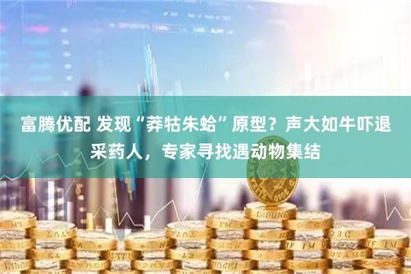 富腾优配 发现“莽牯朱蛤”原型？声大如牛吓退采药人，专家寻找遇动物集结