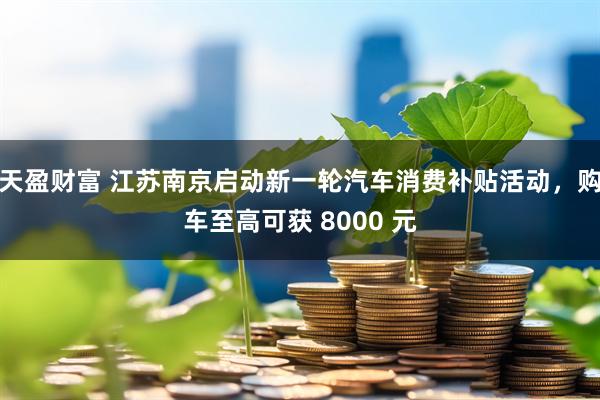 天盈财富 江苏南京启动新一轮汽车消费补贴活动，购车至高可获 8000 元